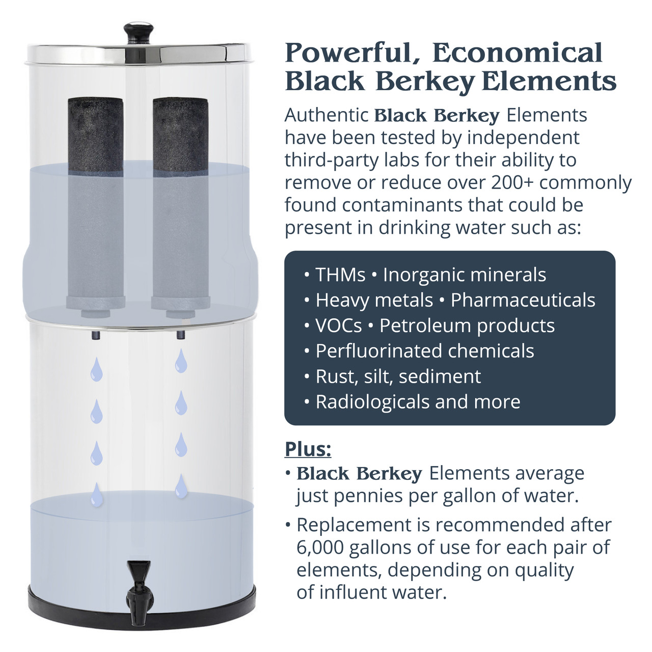 Black Berkey & PF-2 Fluoride Filters Combo - Berkey Water Canada